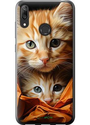 Чехол на huawei y7 2019 котики 2 "5664u-1638-2448"