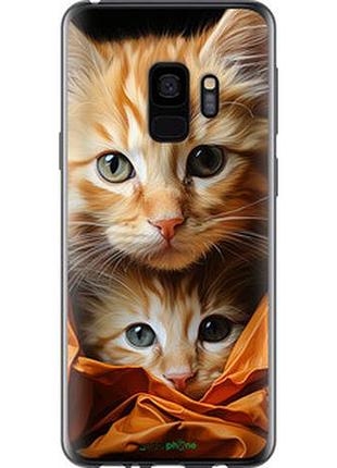 Чехол на samsung galaxy s9 котики 2 "5664t-1355-2448"