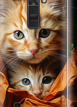 Чехол на lg k7 котики 2 "5664m-451-2448"