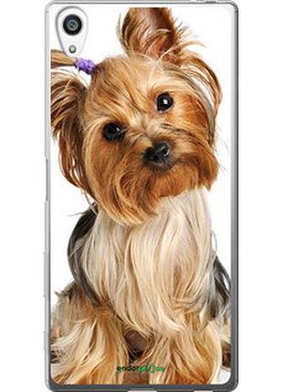 Чехол на sony xperia z5 premium e6883 йоркширский терьер с хвостиком "930t-345-2448"
