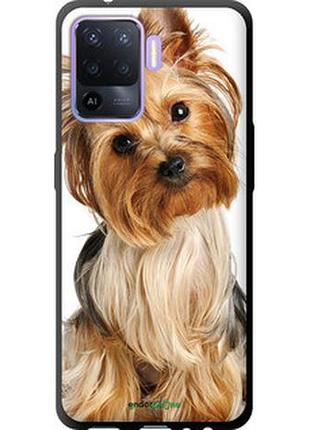 Чохол на oppo a94 йоркширський тер'єр з хвостиком "930b-2287-2448"