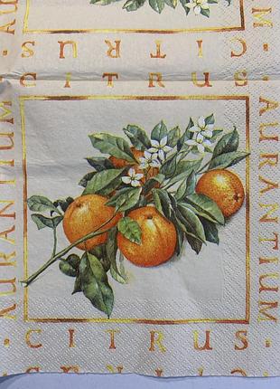 Салфетка декупажная цитрусы.апельсины .33*33см . 3слоя, тм каtrin