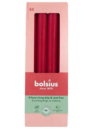 Свічка столова bolsius 230/20мм red 8шт