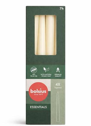 Свічка конусна bolsius 245/24 ivory 4шт