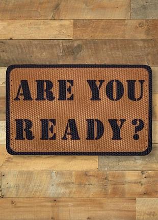 Шеврон are you ready ?, 8х5, койот, на липучке (велкро), патч печатный