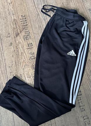 Штани спортивні l adidas
