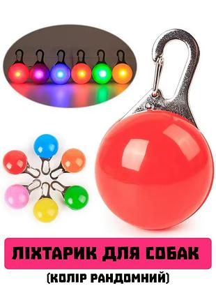 Світлодіодний ліхтарик на нашийник, ліхтарик для собак з карабіном, led лампочка на нашийник світодіодний брелок