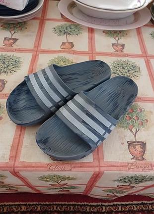 Тапочки adidas original
