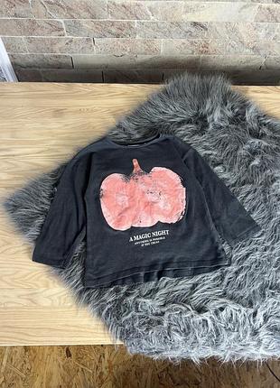 Регланчик zara