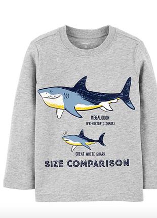 Футболка с длинным рукавом shark jersey carter's