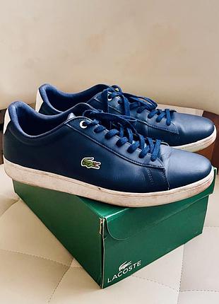 Кеди чоловічі темно сині lacoste