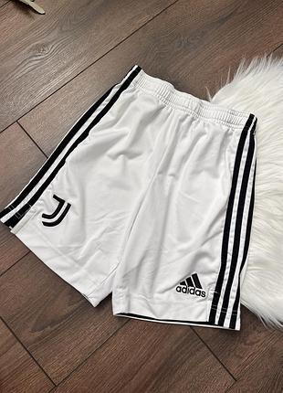 Білі спортивні шорти на резинці адідас adidas для хлопчика 11 12 років 150 см для спорту для футболу
