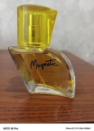 Gabriela sabatini magnetic