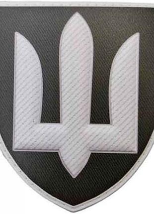Патч/шеврон военная служба правопорядка всу