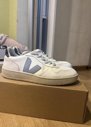 Кросівки  vega v-10