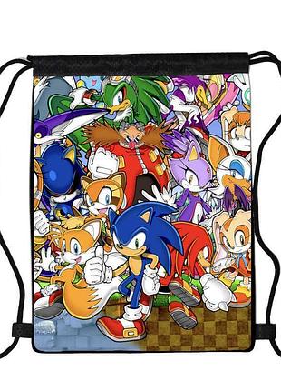 Сумка для обуви соник (sonic 03), 410 х 300 мм