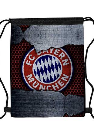 Сумка для обуви фк бавария мюнхен (fc bayern munchen 002), 410 х 300 мм