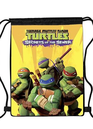 Сумка для взуття черепашки ніндзя (teenage mutant ninja turtles 001), 410 х 300 мм
