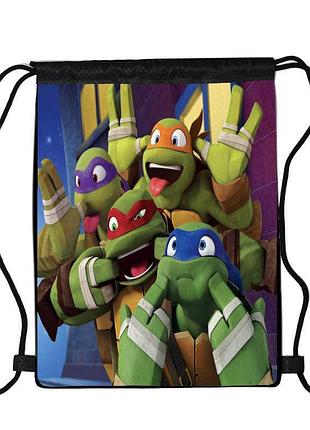 Сумка для взуття черепашки ніндзя (teenage mutant ninja turtles 008), 410 х 300 мм