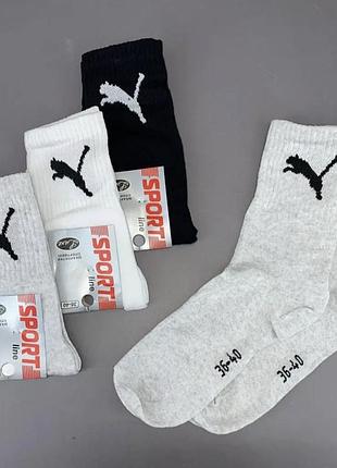 Спортивні шкарпетки  puma