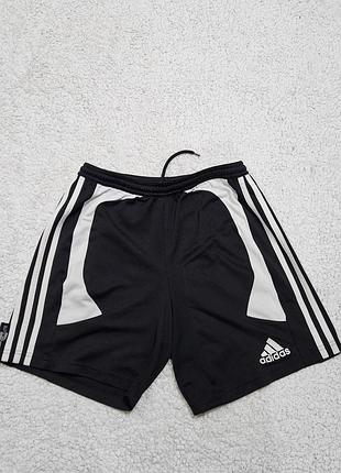 Спортивные шорты adidas clima365