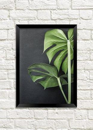 Постер в рамке листя 15x21 см, a5 (mt5_art017_bl)