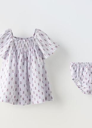 Сукня з трусиками від zara 6/9 міс