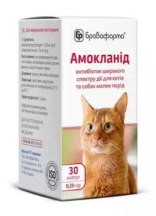 Амокланид, 30 капсул х 0,25 г