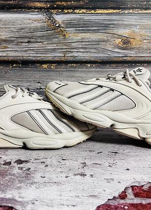 Кросівки adidas  oztral оригінал