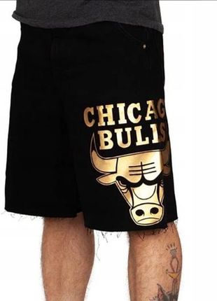Мужские шорты nba chicago bulls