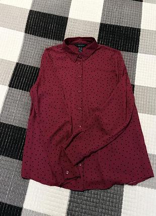 Червона шифонова блуза в чорний горошок s/m