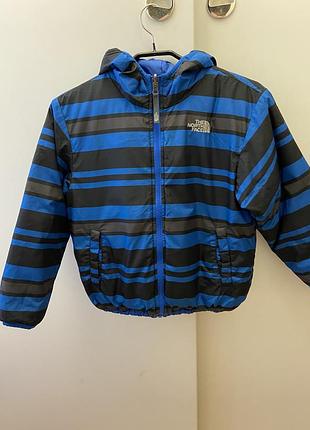 Куртка дитяча демісезонна з капюшоном the north face на 7-8 років синя