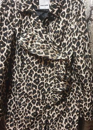 Плащ xins zara 2
