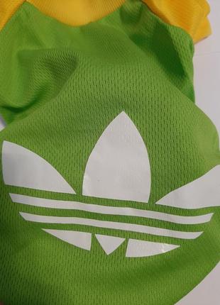 Кофточка adidas для вашей собачки3 фото