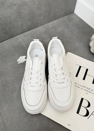 Базовые кеды