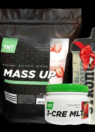 Гейнер mass up 2,5 кг + креатин 0,3 кг + шейкер в подарок tnt