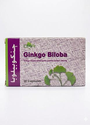 Ginko plus, добавка для інтелікла та життєвої сили, 20 кап.