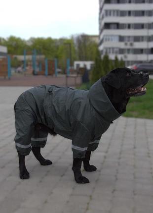 Дождевик для больших собак хаки mb-4