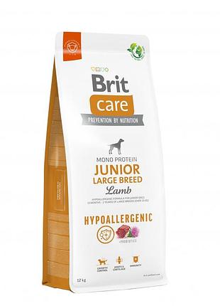 Корм сухой brit care dog hypoallergenic junior large breed для молодых собак крупных пород гипоаллергенный с ягненком 12 кг