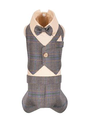 Костюм святковий pet fashion happy для собак xs