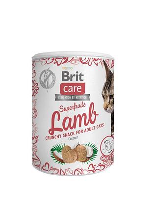 Лакомство brit care superfruits snack lamb д/косты с ягненком и кокосом 100 г
