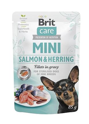 Корм влажный brit care mini для взрослых собак миниатюрных пород филе с лососем и сельди в соусе 85 г