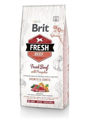Корм сухий brit fresh beef/pumpkin puppy large для цуценят та молодих собак великих порід з яловичиною та гарбузом 12 кг