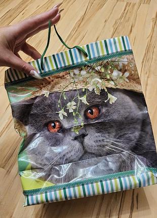 Большой шикарный пакет 📦 кот британский
