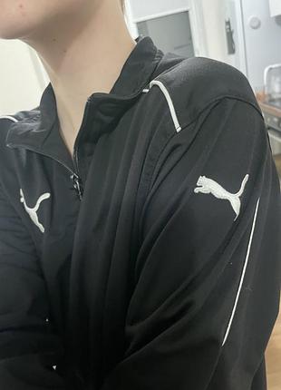 Олімпійка puma 6