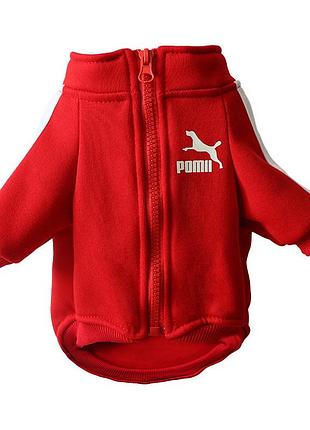 Спортивна кофта для котів pet style "sport" червона 3xl