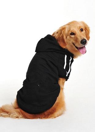 Толстовка для собак однотонная pet style "спорт" черная m