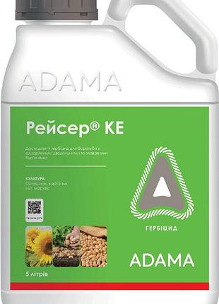 Гербицид рейсер 5 л топчик