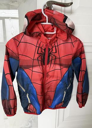 Вітровка spider man hm