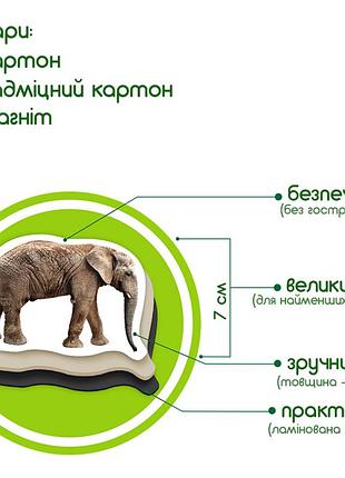 Набор магнитов "зоо" 19шт ml4031-02 en | maxisvit 3